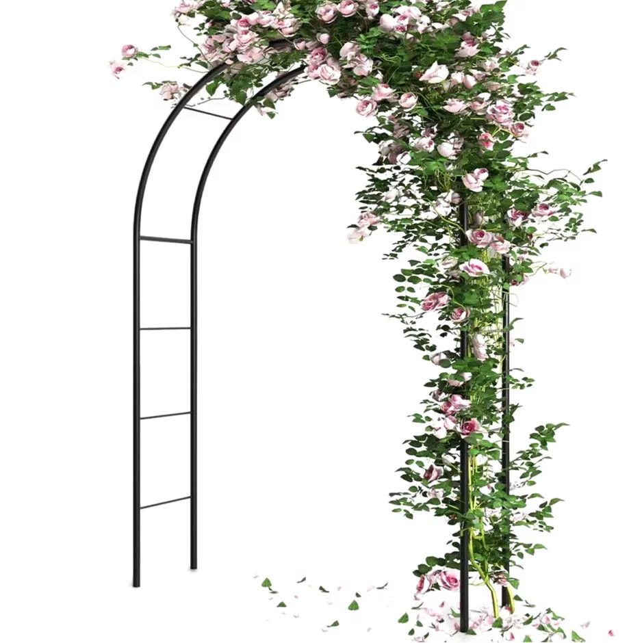 b674480960d3f103e208707e4ad9bb3b