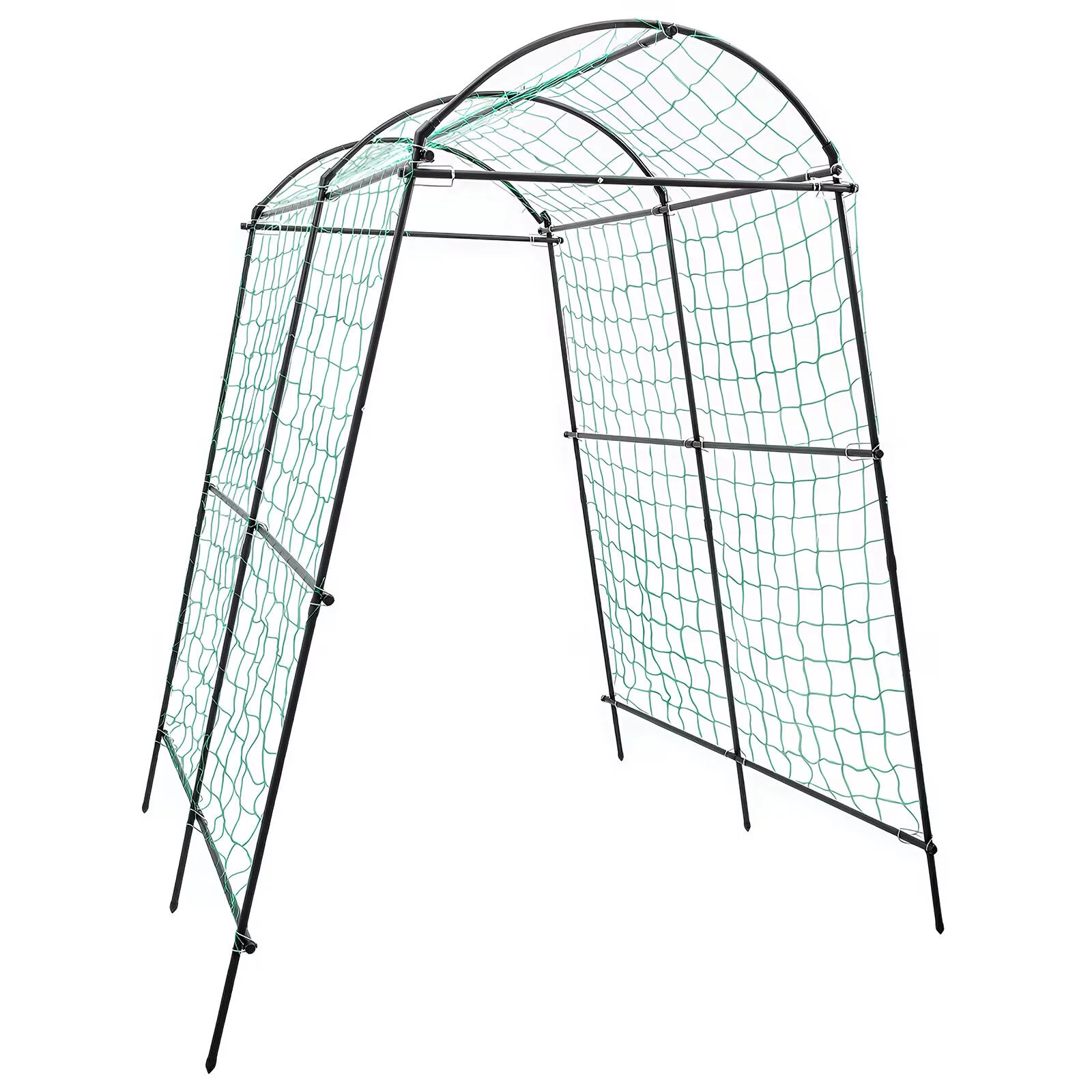 97e3ed726523f2cd9ee99011d68e643d