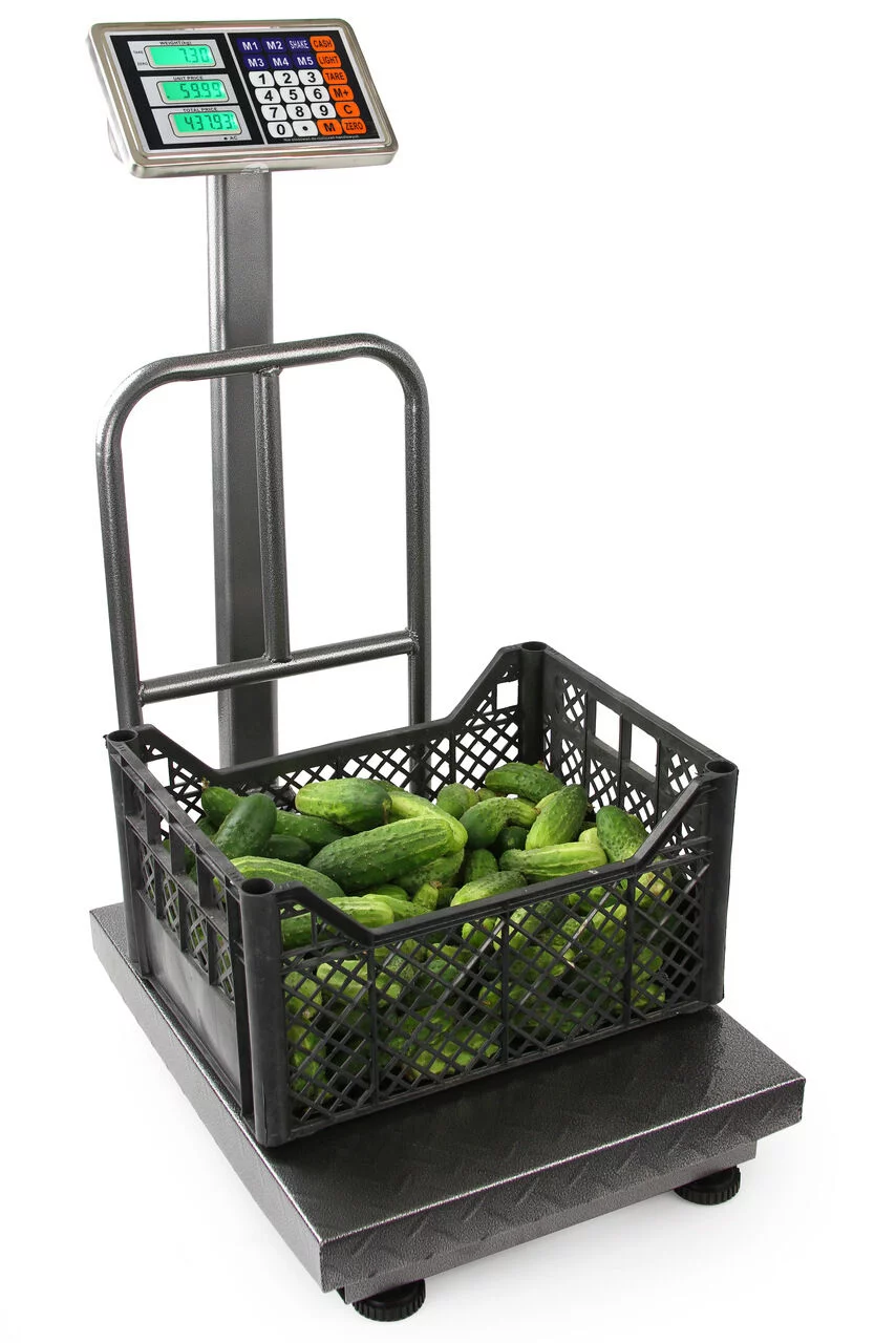 d31d8667af86600cae491332da7472e9