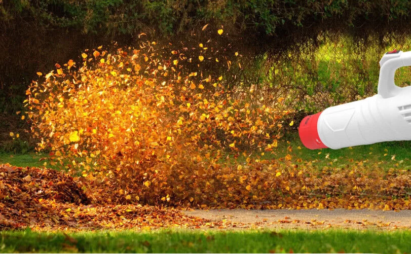 d5f1d67f1182ff770cbaedd1c70662d8