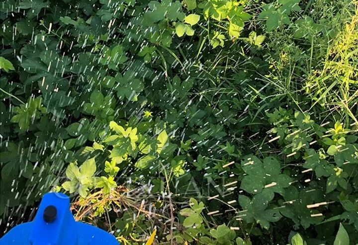 f09e2a01d488fdc61ec457ebcad6ee5c