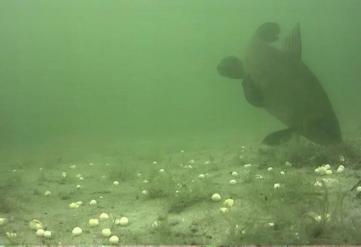 d423f047b74b1bd4df9dc361be9f5da9