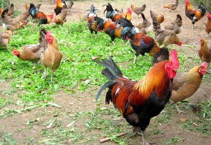 c6a36a7d1f4d67f835ef3f66957e6356