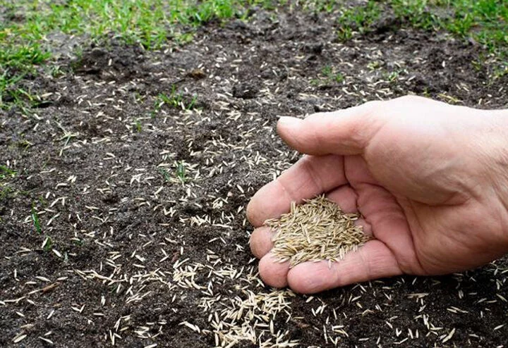 20a6c932d0883a374990e8b495a421e6