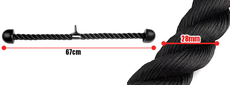 2e1f44128d970afe51998904efa72564